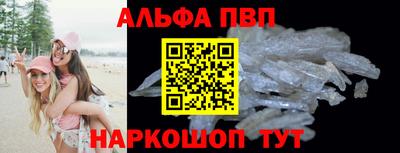 Альфа ПВП Кингисепп