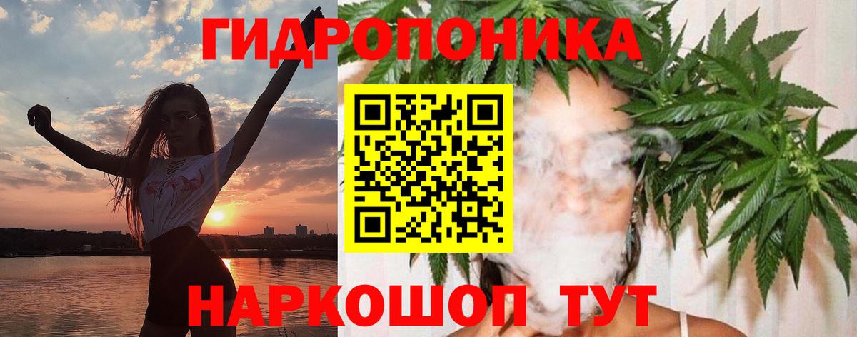 Бошки марихуана индика  Конопля планчик  Вход с VPN  МАРИХУАНА индика  Кубинка  Конопля VHQ 